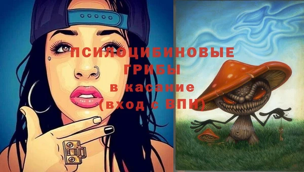 молекула духа Бугульма