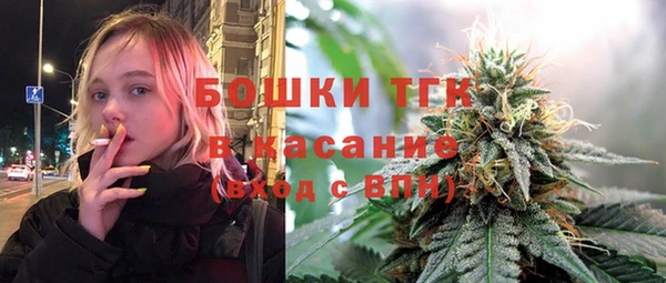 mdpv Бородино
