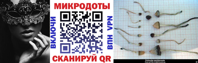 Галлюциногенные грибы прущие грибы  Озёрск 
